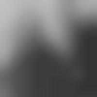 forum ronny and the daytonas