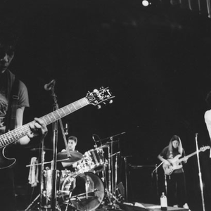 partition saccharine trust