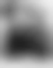 forum sam roberts band