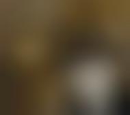 forum saule et les pleureurs