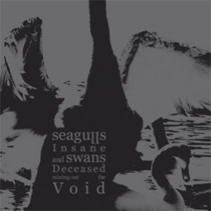 partition seagulls insane and swans deceased mining out the void