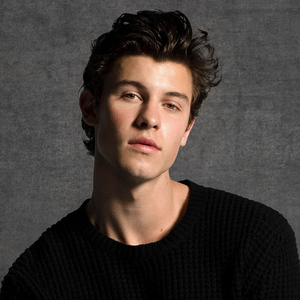 poster shawn mendes