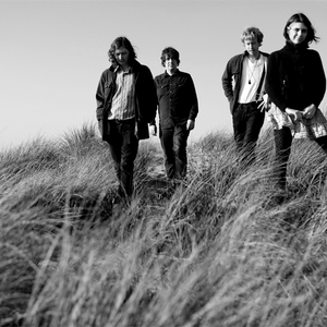 partition sleepy sun