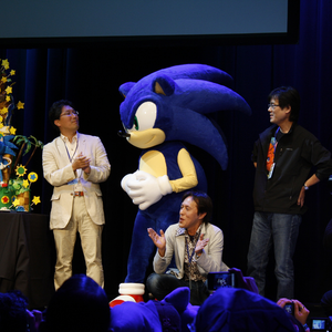 partition sonic team