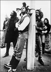 album steel pulse
