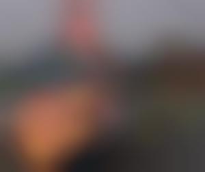 forum jacques stotzem