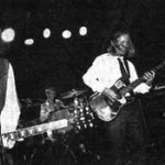 sunny day real estate