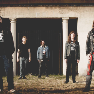 partition the atlas moth