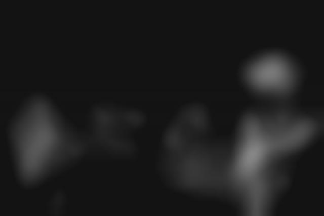 partition the atomic bitchwax