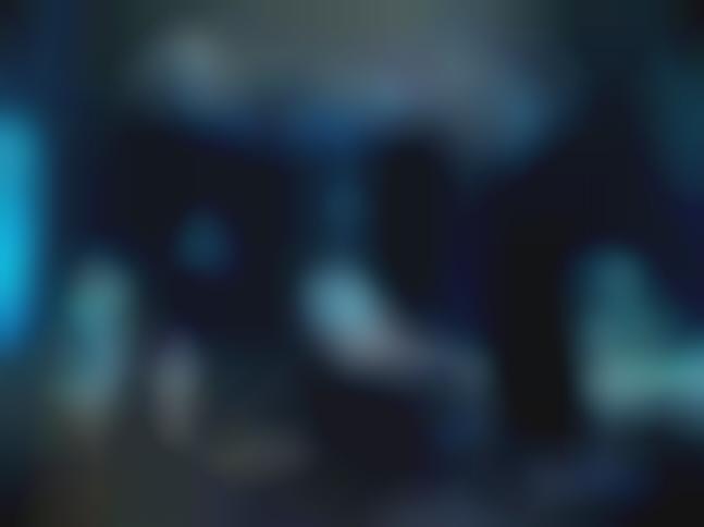 partition the birthday massacre