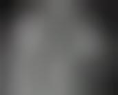 partition the business