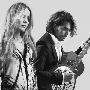 poster the common linnets