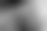 forum the fleshtones