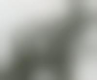 forum the headhunters