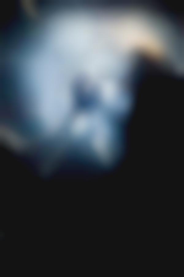 fans the human abstract