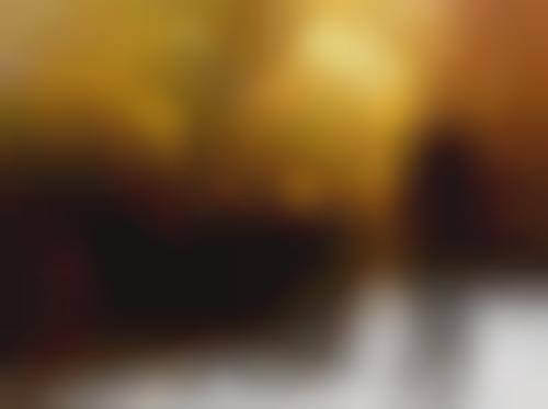 partition the perishers