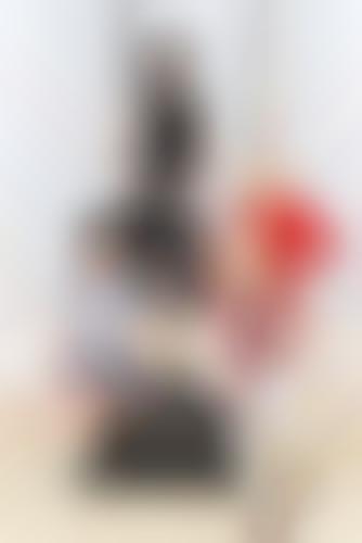 poster the priscillas