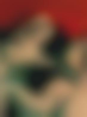 forum these animal men