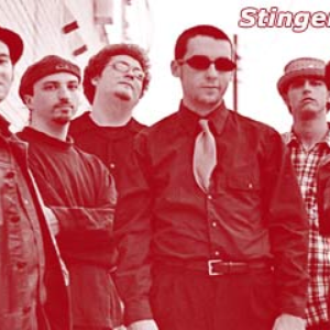 album the stingers atx