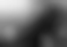 partition the sultans