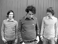 album the wombats