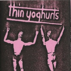 poster thin yoghurts