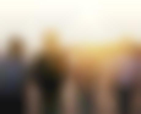 fans vampire weekend