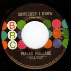 wales wallace