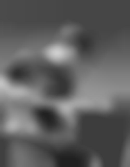 partition tyler ward