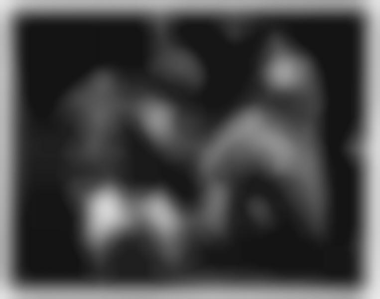 forum the young fresh fellows