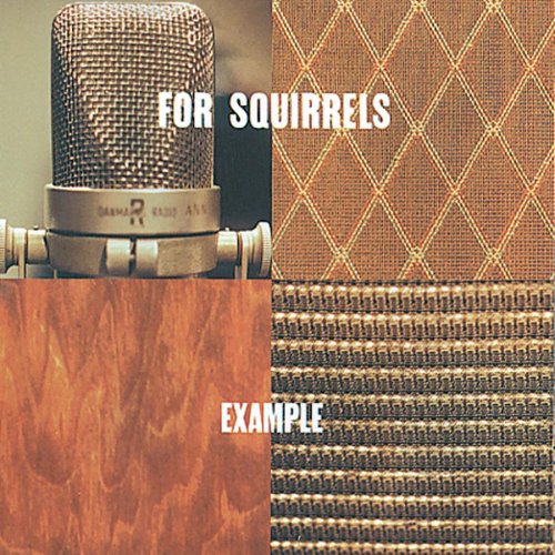 album for squirrels