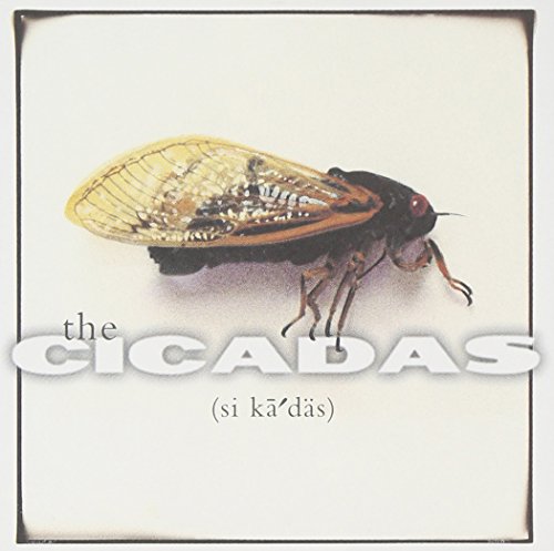 album the cicadas