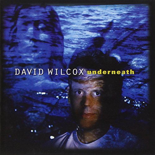 album david wilcox