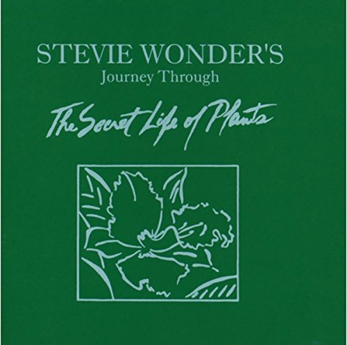 album stevie wonder