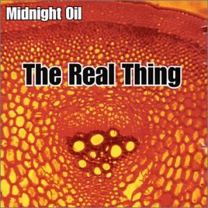 album midnight oil