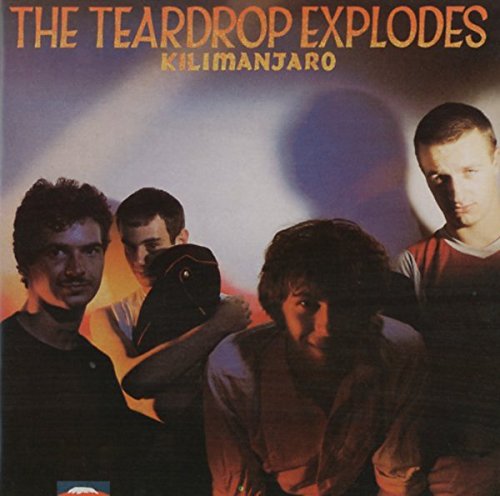 album the teardrop explodes