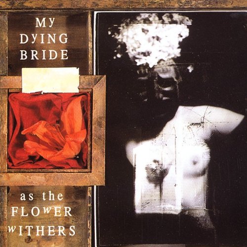 album my dying bride