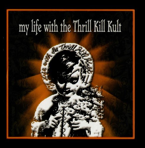 album my life with the thrill kill kult