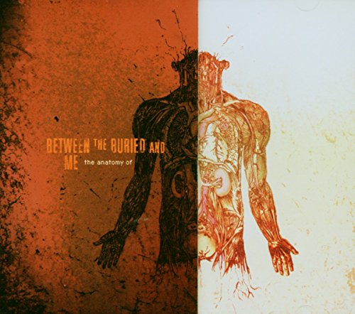 album between the buried and me
