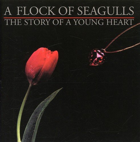 album a flock of seagulls