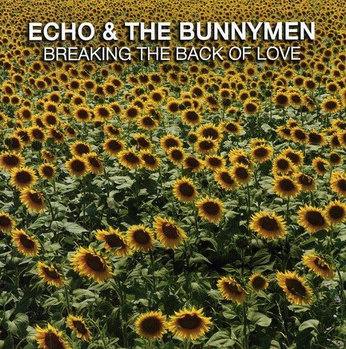 album echo and the bunnymen