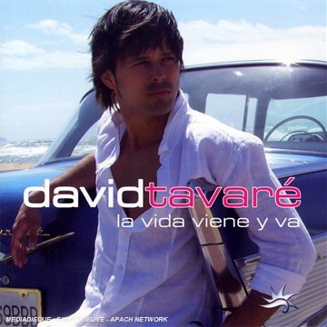 album david tavar�