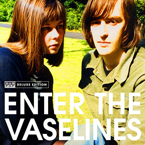 album the vaselines