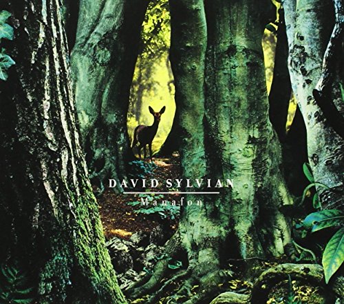 album david sylvian