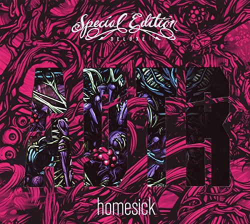 a day to remember - Homesick