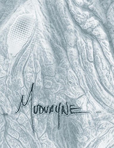 album mudvayne