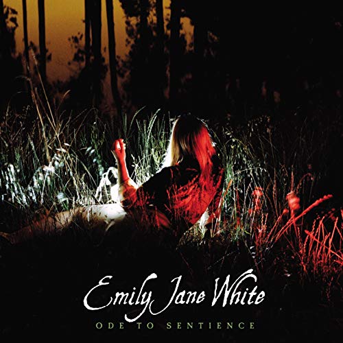 album emily jane white
