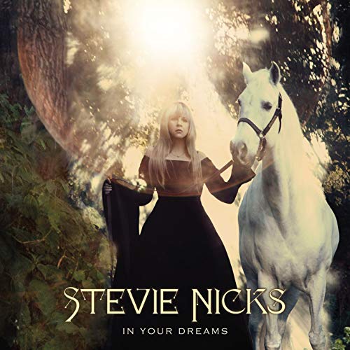 album stevie nicks