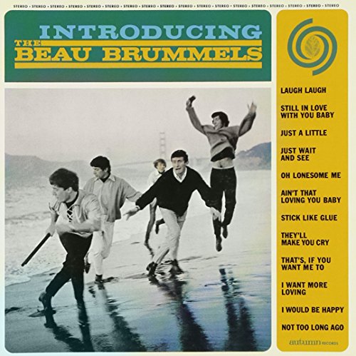 album the beau brummels