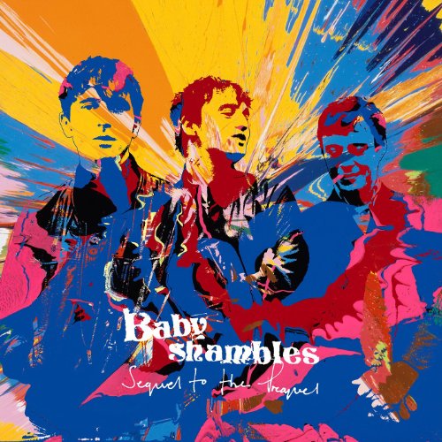 album babyshambles